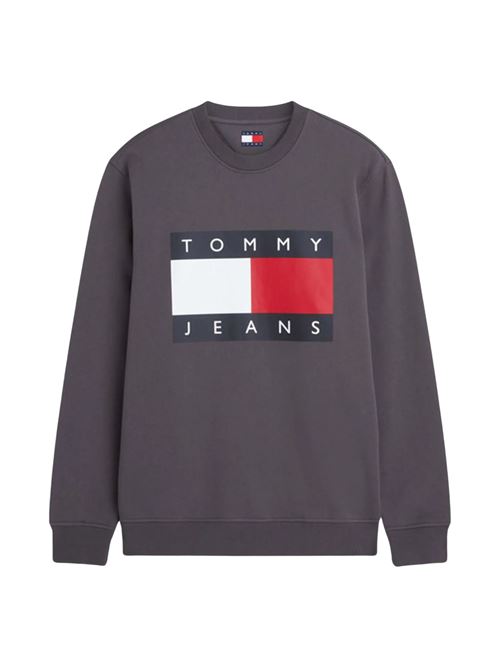 Felpa girocollo regular fit Tommy Jeans | DM0DM22643P08